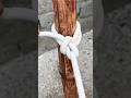 Incredible Rope Trick !