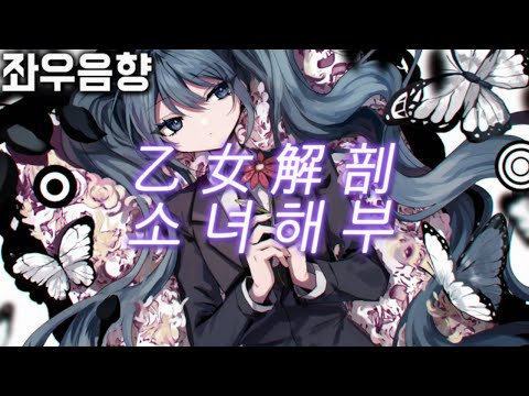 【좌우음향】소녀해부 (乙女解剖) 「메아리/마후마후/ado/나나오아카리/카노/네코96」