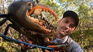 The Best Mud Crab Spot In Brisbane? Land-Based Crabbing