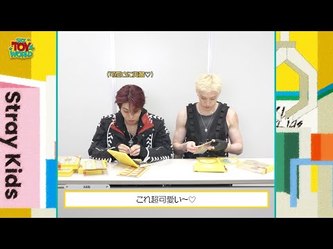 LIVE Blu-ray『Stray Kids Fan Connecting 2024 “SKZ TOY WORLD