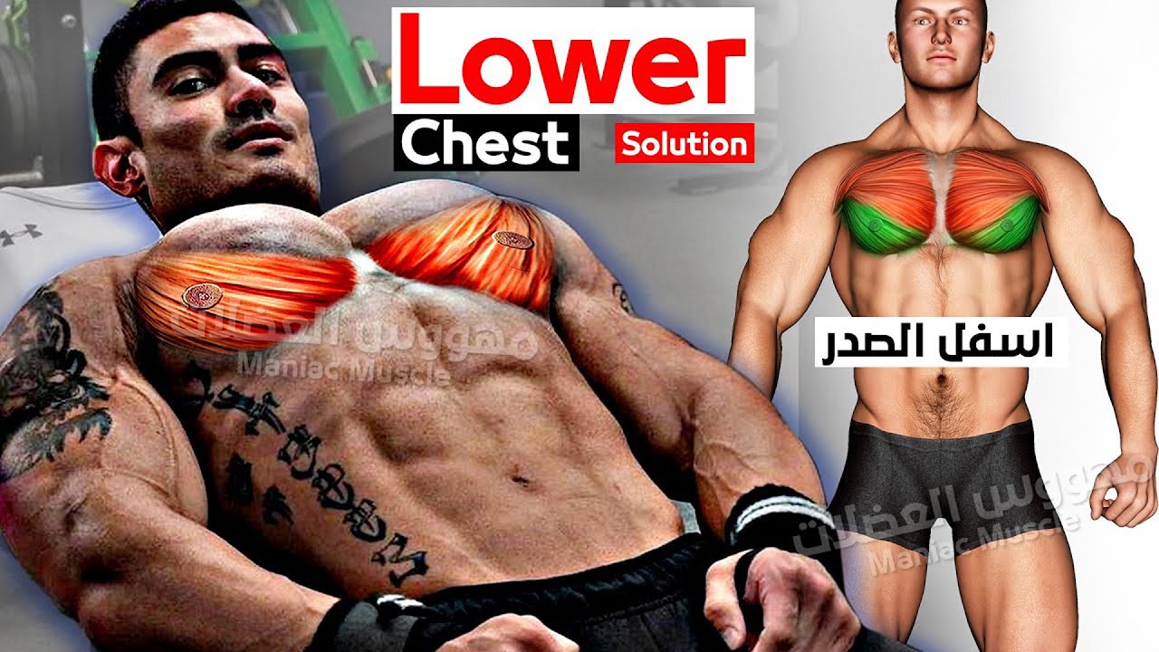 7 BEST EXERCISE LOWER CHEST WORKOUT 🔥