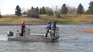 Salmon Spawning Update - NDGNF - 10/17/19