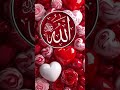 Forgive People and Allah will Forgive you