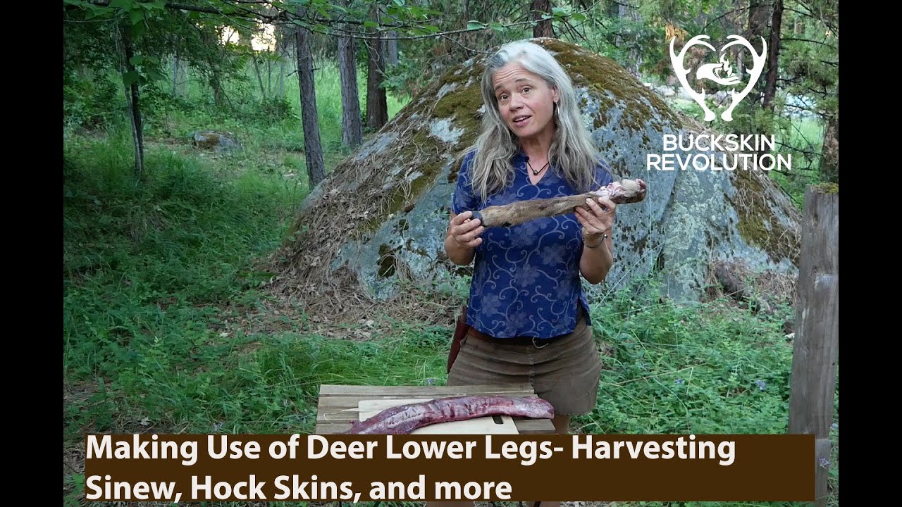 How to Harvest Sinew from a Deer 