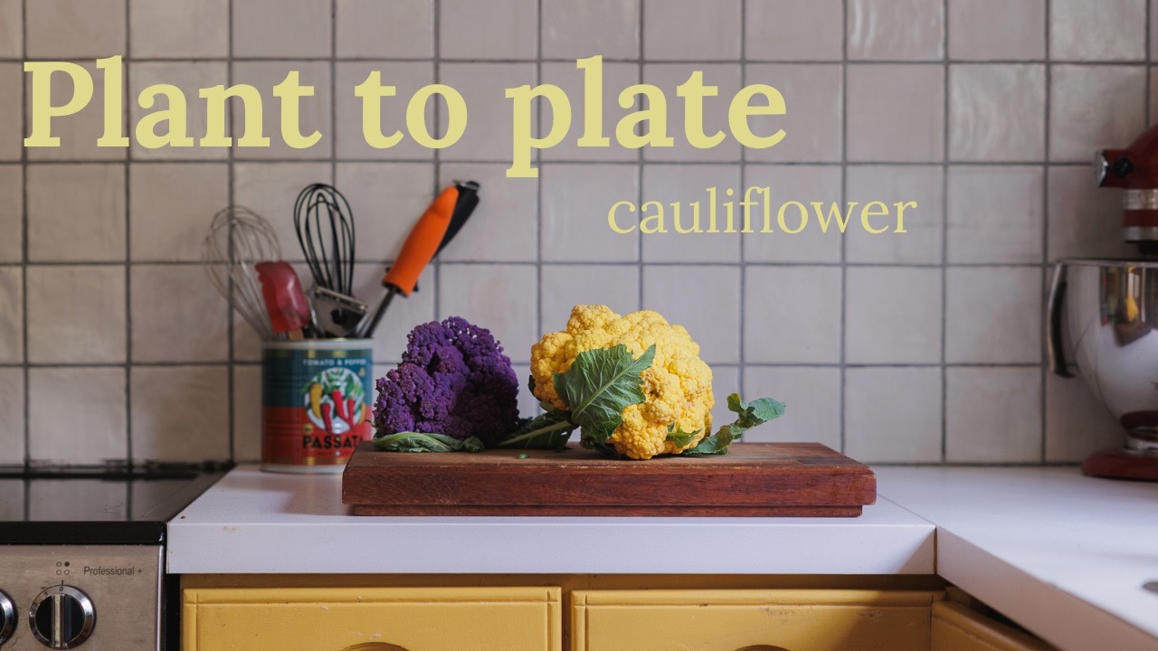 Plant to plate: Cauliflower recipes (vegan & low-waste)