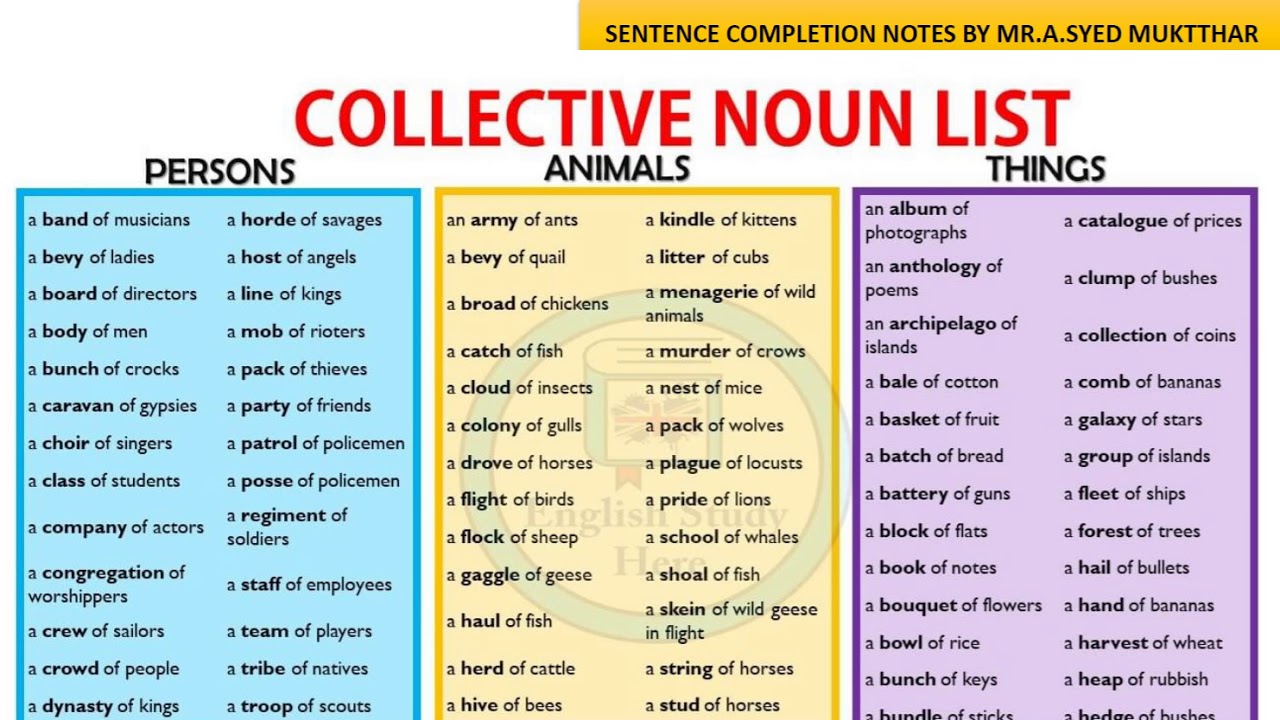 Collective nouns. Group Nouns в английском языке. Collective Nouns в английском языке. Collective Nouns animals в английском.