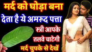 मर्द को गजब फौलादी पावर देता है अमरूद पत्ता, रात मे करे इस्तेमाल || Health Tips Guava benefits