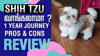 Shih Tzu dog | Dont Buy | 1 Year Detail Review | Care | Maintenance Cost | Price | Tamil | Nithya