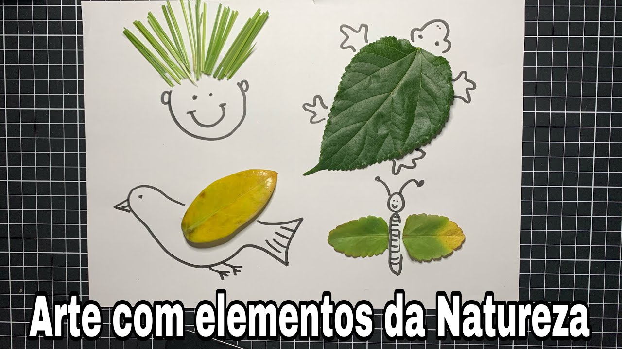 Atividade sobre a Natureza para a Educação Infantil