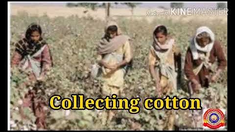 KRSMA#Standard 3 EVS Part 3 Chapter 6 Hands That Reap Virtue.