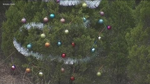 Austin Bull Creek Foundation pushes to stop decorating Loop 360 trees | KVUE