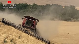 Bouncing and sliding combines  Grain Hogs S02 EP03