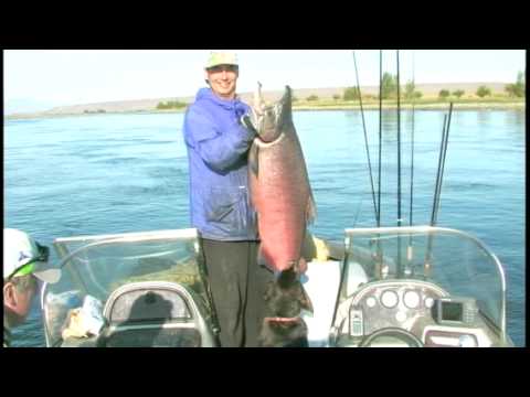 The Thousand ($1000) Dollar King Salmon