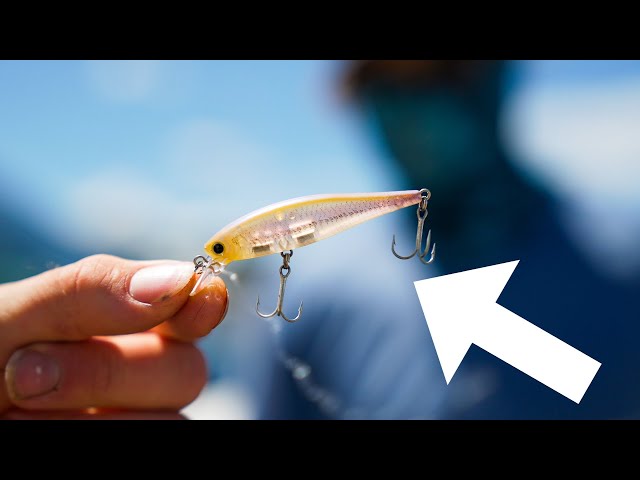 Are These Japanese Baits The Best For Catching BIG Trout From Any Lake Or  River!? Full Breakdown! 