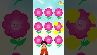 Counting Practice for Kids age 2-3