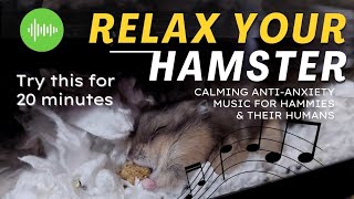 Music For Hamsters: Relaxing & Soothing (Calm Your Hampter in 20 Min🥰👀)