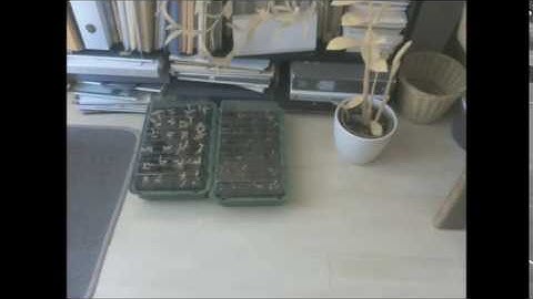 Time-lapse photography with Raspberry Pi - Plants