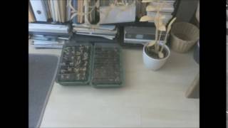 Time-lapse photography with Raspberry Pi - Plants