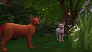 Early kitting |Warrior Cats Sims 4 |Sunlit Echo 41 pt.2
