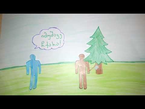 გუნდი: ინდივიდი