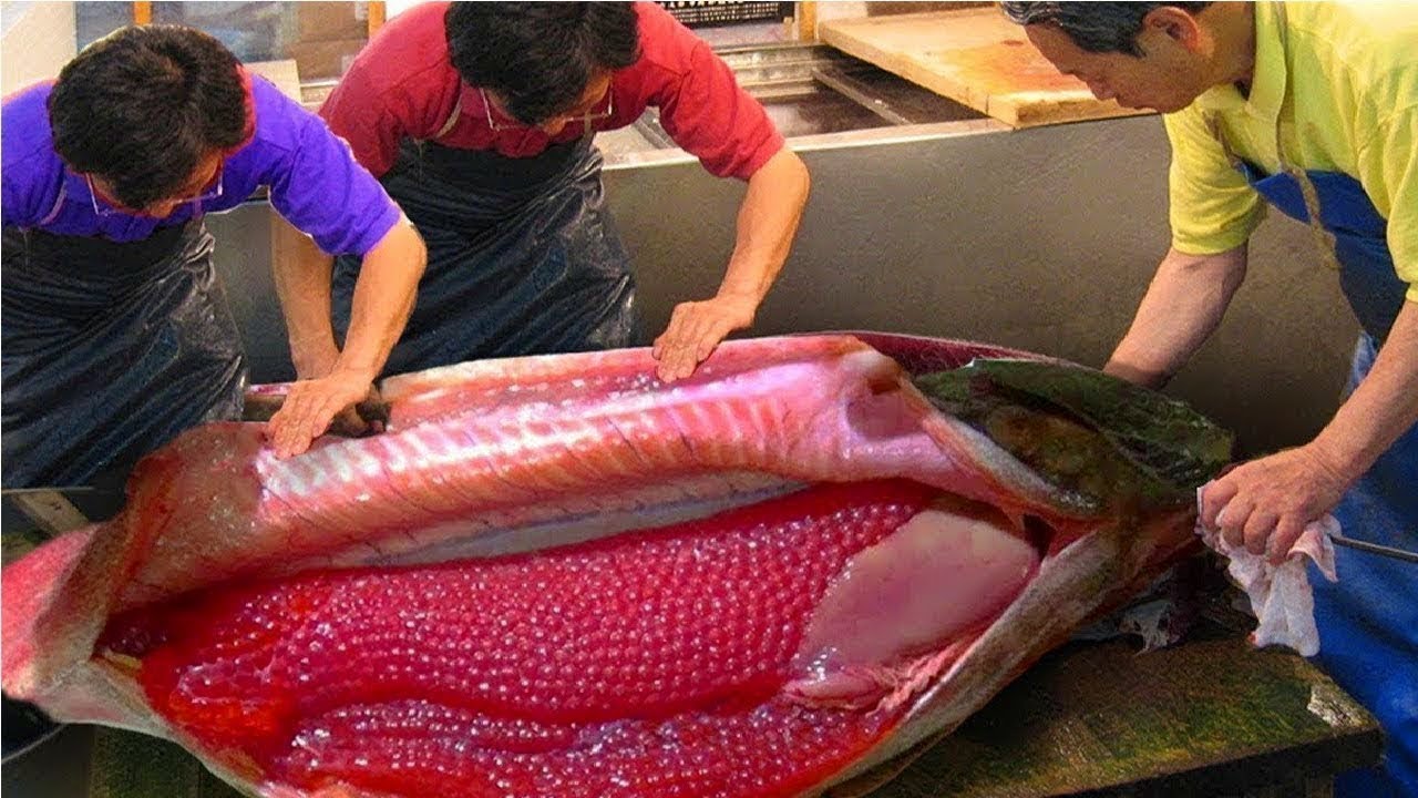 Мясо дорогих рыб. Икра рыбы. Самая большая икра рыбы. Огромная красная рыба. Гигантская Рыбная икра.