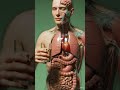 🥜🌿 Almond 3D Human Digestion & Health Effects (Cinematic Medical Animation)