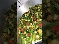 Bhindi Is Love♥️ #bhindirecipe #bhindifry #bhindimasala #barbaadiyaan #shiddat #shiddat_song