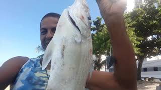 Mais uma pescaria em Olinda (shopping pateo) screenshot 4