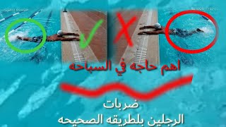 كيف تتعلم السباحه وضربات الرجلين للمبتدئبن Freestyle swimming technique kick‍️