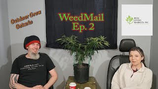 WeedMail Ep.2  Unboxing from Real Living Markets, Plus Weed Talk with Jenny