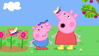 Peppa Pig in Hindi - Phrogs End Varms End Bataraphlaeez - हिंदी Kahaniya - Hindi Cartoons for Kids