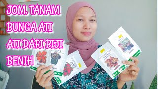 Jom, Tanam Bunga Ati Ati dari Biji Benih/ Seeds @greenluckyhand9003