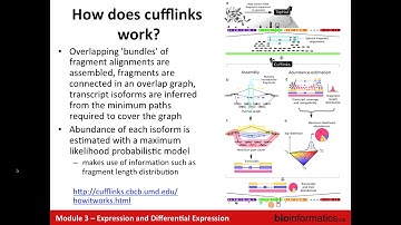 Expression and Differential Expression