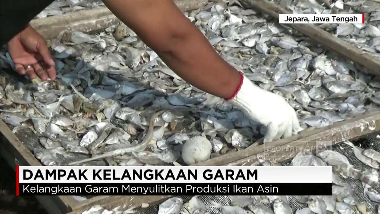 Dampak Kelangkaan Garam - YouTube
