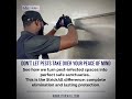 DONT LET PEST TAKE OVER YOUR PEACE #commercialpestcontrol #pestmanagement #realestate #pestremoval