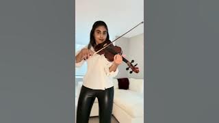 Kabhi Khushi Kabhie Gham X Bridgerton | violin cover by Pavani Anupindi
