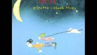 Eels - P.S, You Rock My World chords