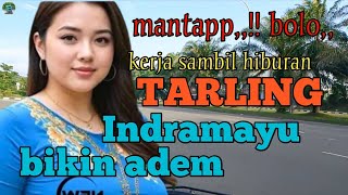 TARLING TENGDUNG INDRAMAYU_KERJA SAMBIL HIBURAN MANTAP BANGET @toyobringin3238