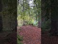 #scotland #nature #solitude #autumn #peace #scotlandtravel #nature #dog