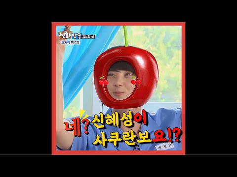 영원한 아이도루 말랑콩떡 신혜성 사쿠란보🍒
