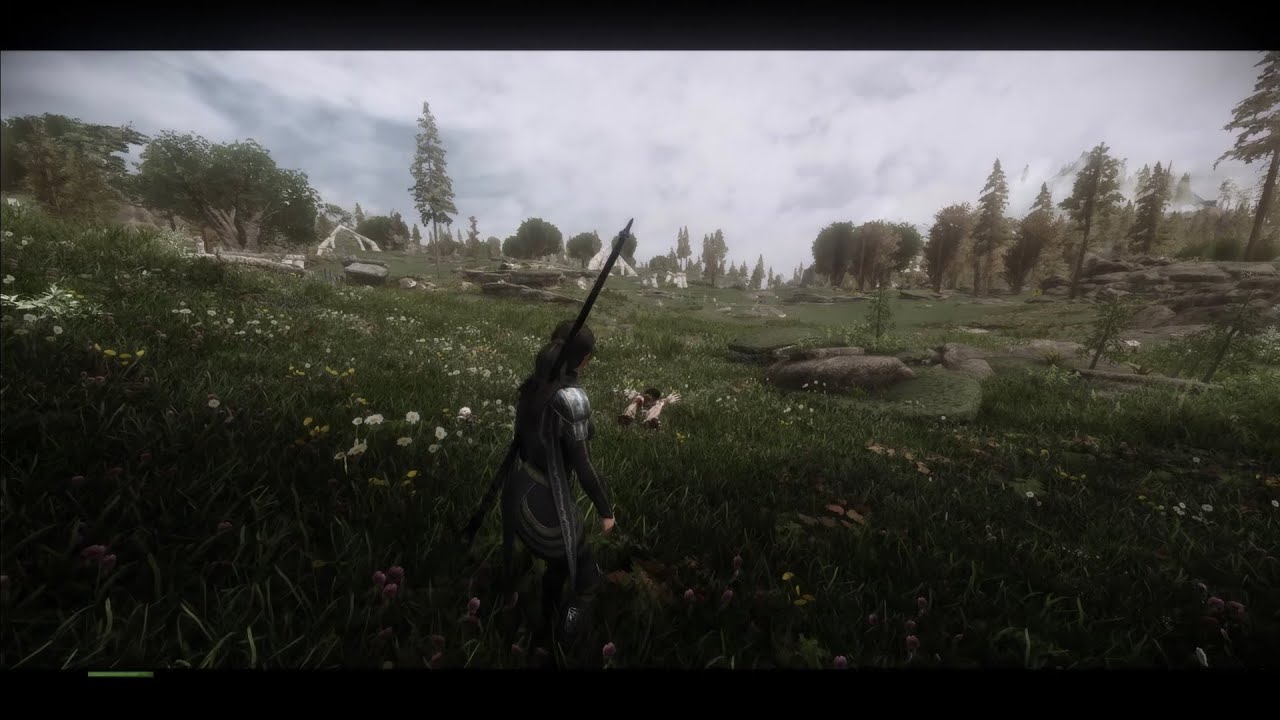 Skyrim SE Ultra Modded 900+ Mods I Battlestaff I 1440p