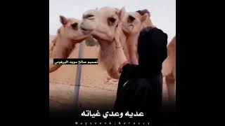 طق ليبي عديه وعدي غياته