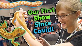 Attending A Huge Reptile Expo In Schaumburg Il