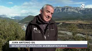 Eva, El Quebrantahuesos Más Longevo Del Mundo En Libertad, Ple 30 Años En El Pirineo