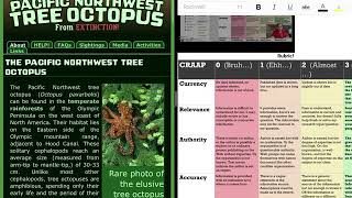 How to Use CRAAP using the rubric on the Tree Octopus