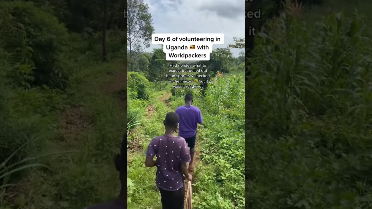 Volunteering in Uganda Day 6 