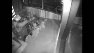 Inbraak En Arrestatie 01-09-2018