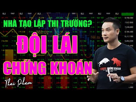 Video NHÀ TẠO LẬP THỊ TRƯỜNG, LÁI,...ANH LÀ AI? CÓ XẤU KHÔNG? - YouTube