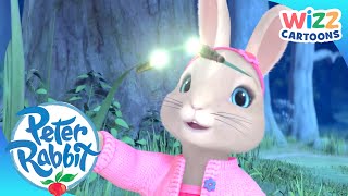 @OfficialPeterRabbit - Chasing Fireflies | Action-Packed Adventures | Wizz Cartoons