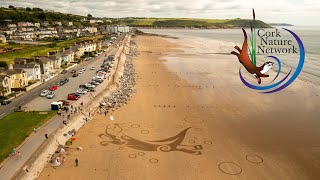 Otter Sand Art Youghal - Cork Nature Network - Full Video